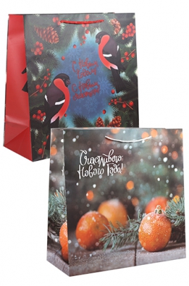 23/XA26.1 Сумка-пакет бум. супербол. квадр.- нов.год микс 12/бл